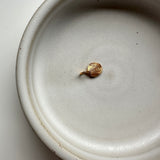 Small fingerprint pendant