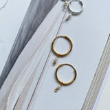 Pi earrings