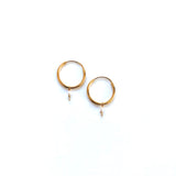 Pi earrings