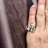 Coquille ring