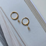 Pi earrings